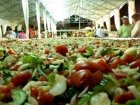 Cea mai mare salata vegetala din lume